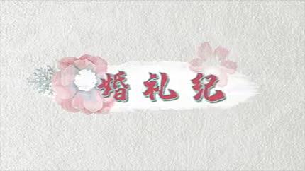 可用在婚礼微电影中的文字标签动画AE模板视频的预览图